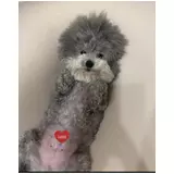 日記画像