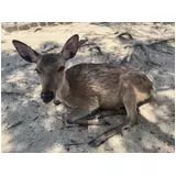 日記画像