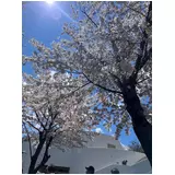 日記画像