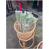 日記画像