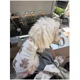 日記画像