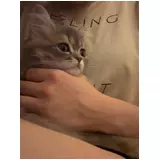 日記画像
