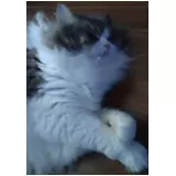 日記画像