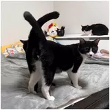 日記画像