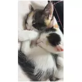 日記画像