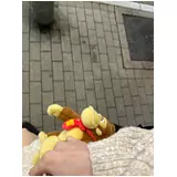 日記画像