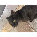 日記画像