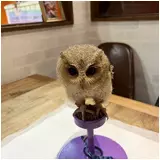 日記画像