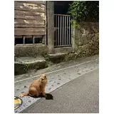 日記画像