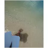 日記画像