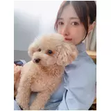 日記画像