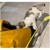 日記画像