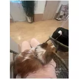日記画像