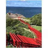 日記画像