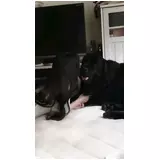 日記画像