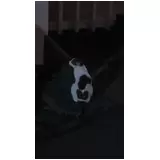 日記画像