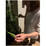 日記画像