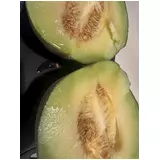日記画像