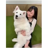 日記画像