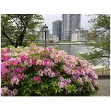 日記画像