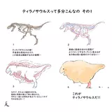 日記画像