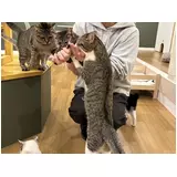 日記画像