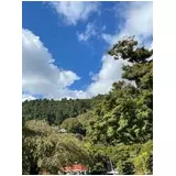 日記画像