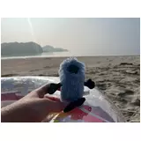 日記画像