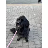 日記画像