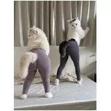 日記画像