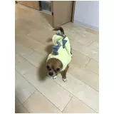 日記画像
