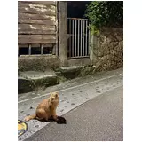 日記画像