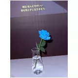 日記画像