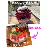 日記画像
