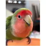 日記画像