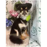 日記画像