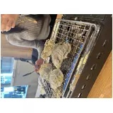 日記画像
