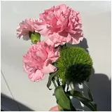 日記画像