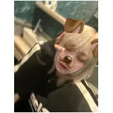 日記画像