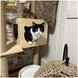 日記画像