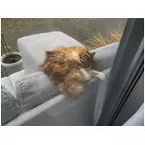 日記画像