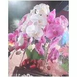 日記画像