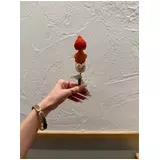 日記画像
