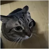 日記画像