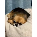 日記画像
