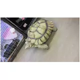 日記画像
