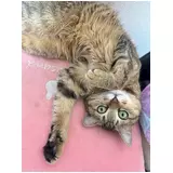 日記画像