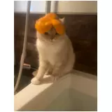 日記画像