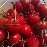 24e882f22c99980a0d5b6ff517a380b9