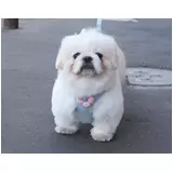 日記画像